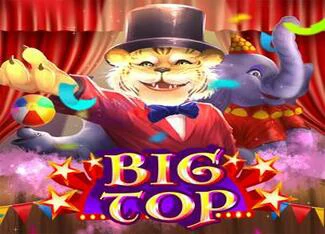 Microgaming SMG_bigTop.webp